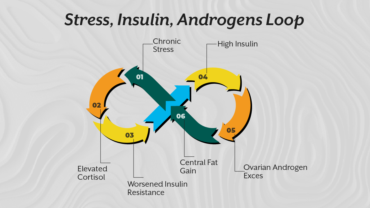 Stress, Insulin, Androgens Loop