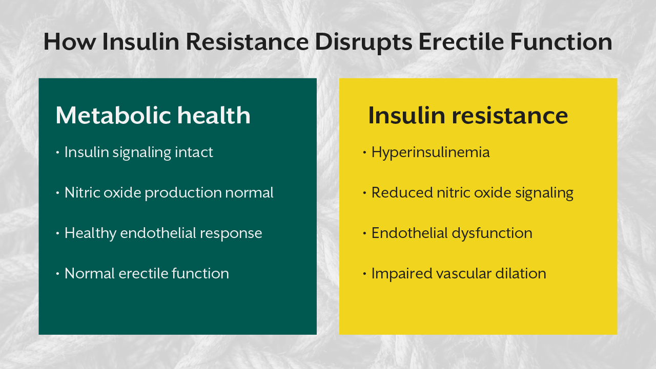 How Insulin Resistance Disrupts Erectile Function