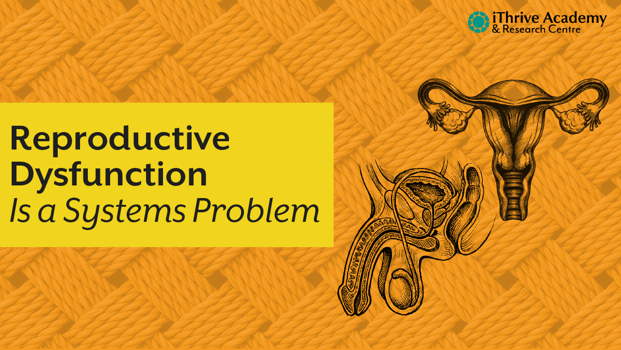 Reproductive Dysfunction as a Systems Failure: Integrating Endocrine, Vascular and Mitochondrial Pathways in Clinical Practice