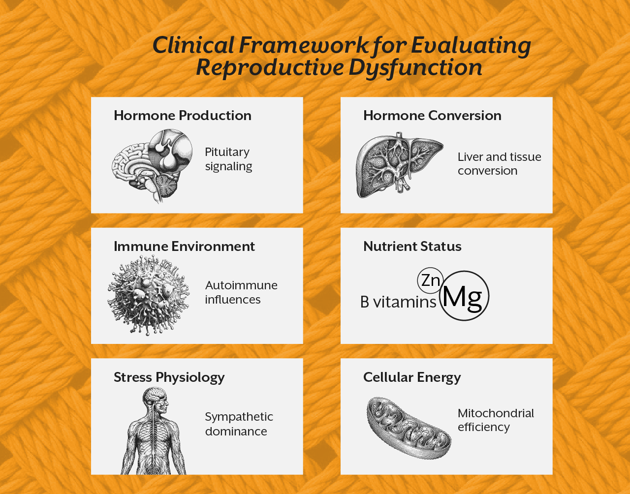 Clinical Framework for Evaluating Reproductive Dysfunction