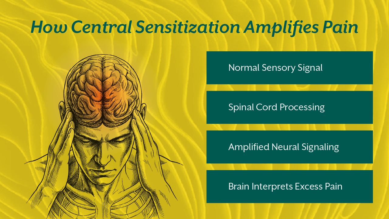 How Central Sensitization Amplifies Pain