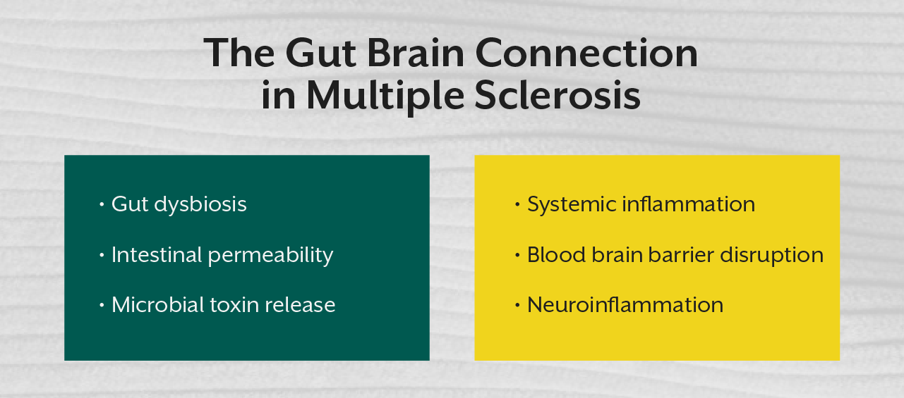 The Gut Brain Connection in Multiple Sclerosis