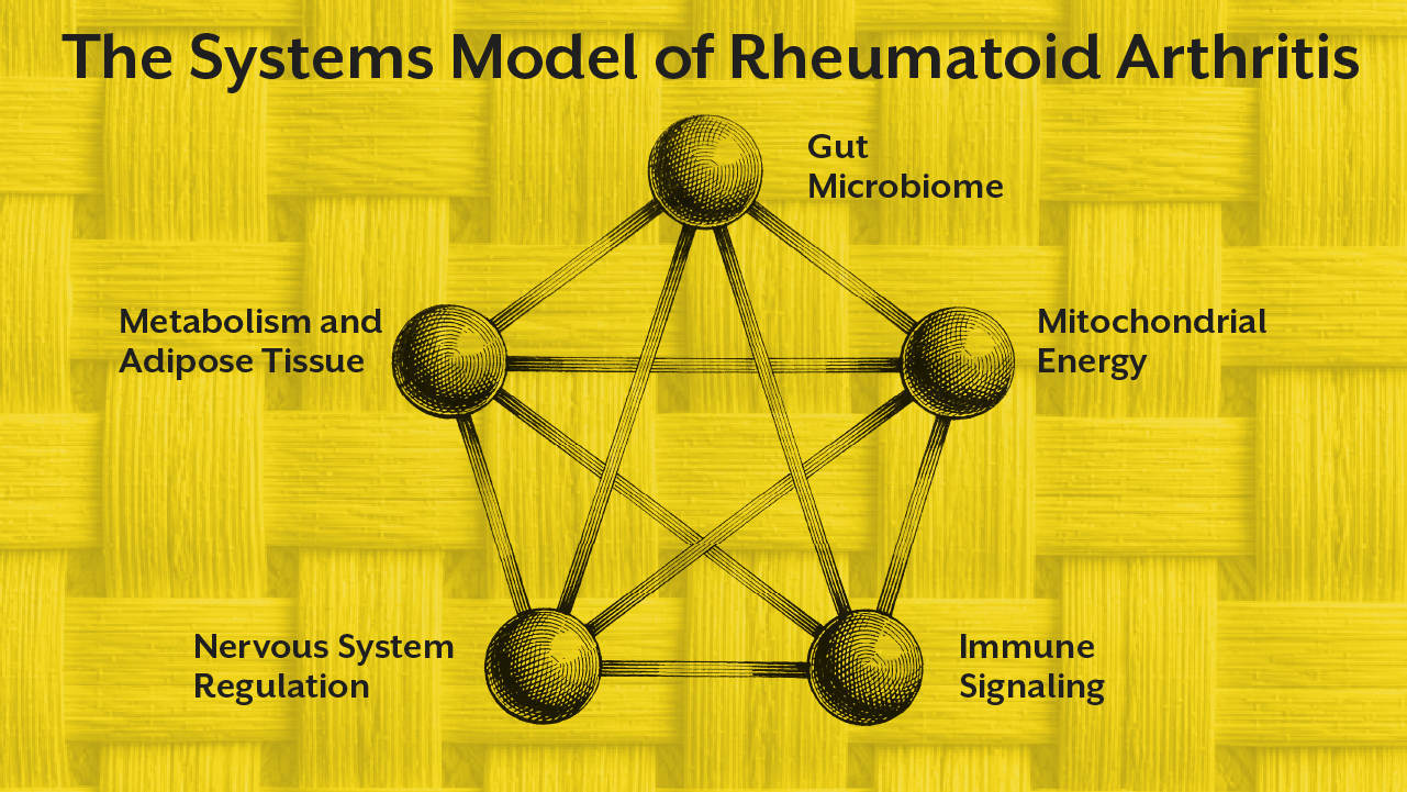 The Systems Model of Rheumatoid Arthritis