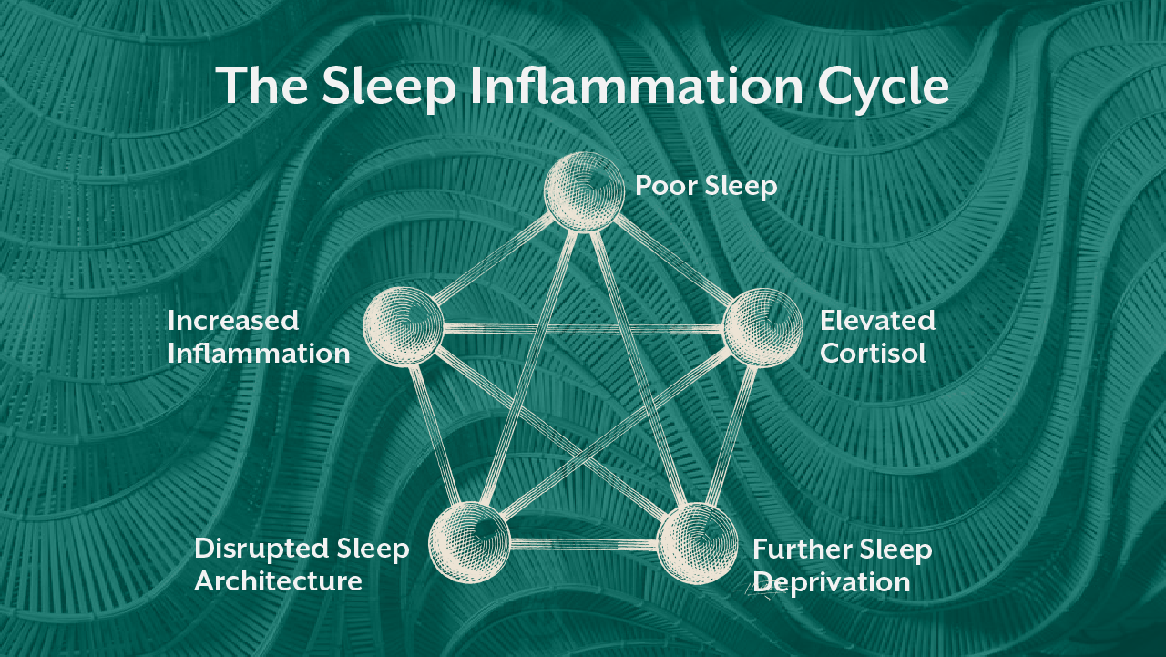 The Sleep Inflammation Cycle