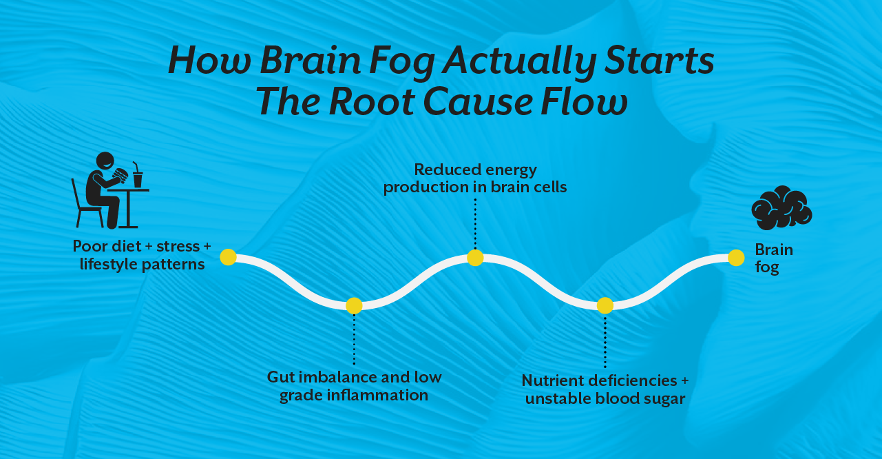 How Brain Fog Actually Starts: The Root Cause Flow