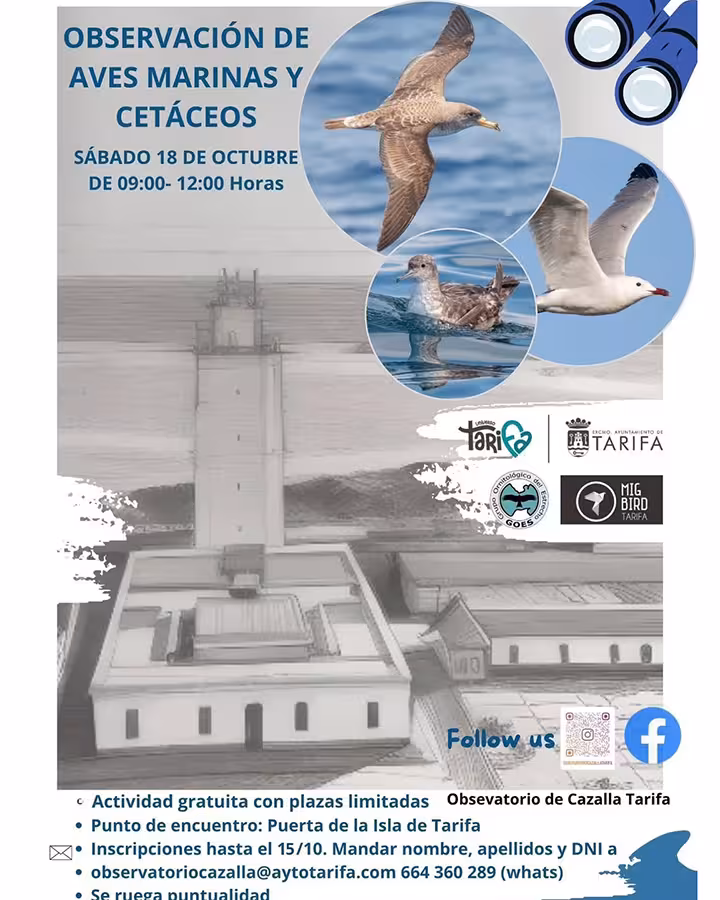 Aves Marinas