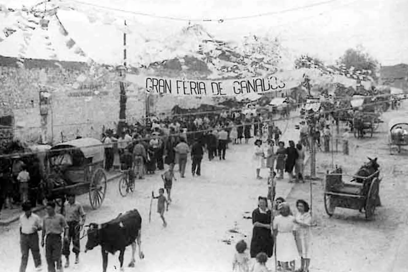 Feria Agrícola de Nules · fotografía histórica 1