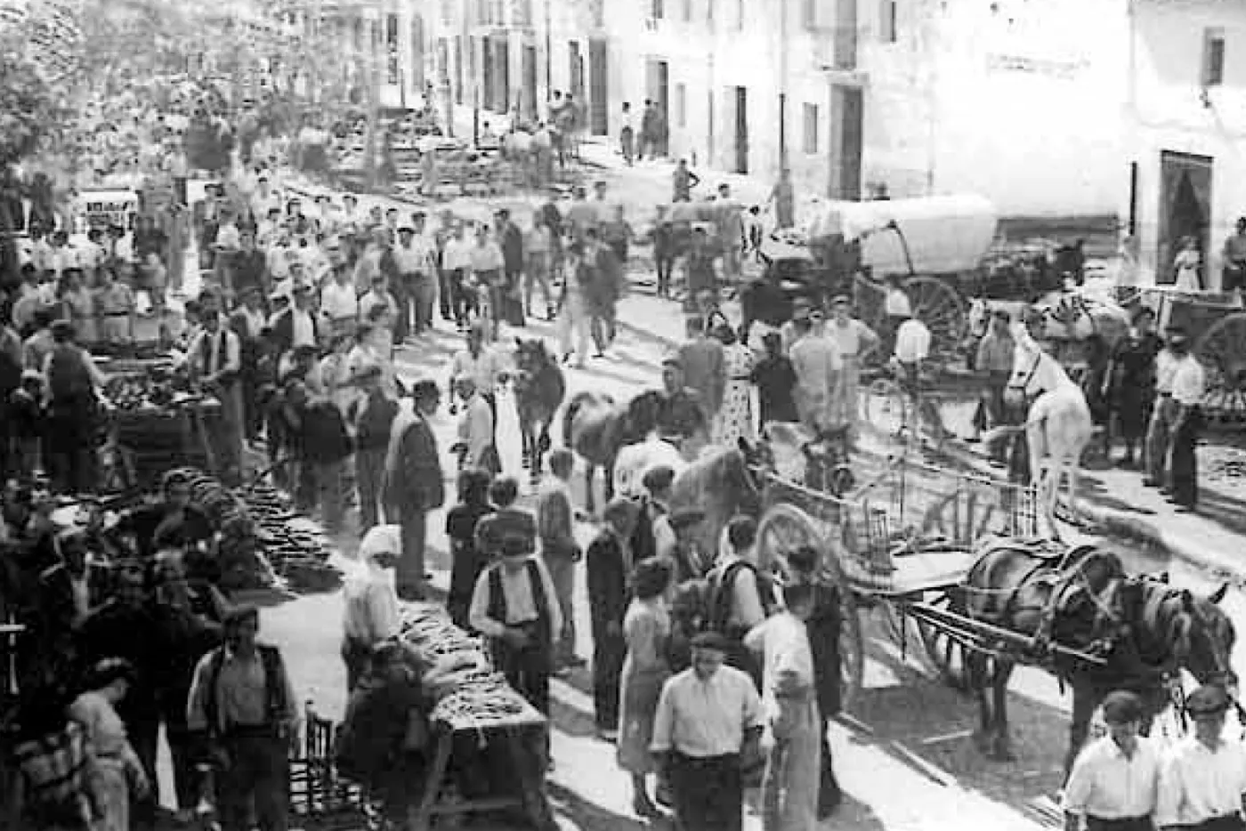 Feria Agrícola de Nules · fotografía histórica 5