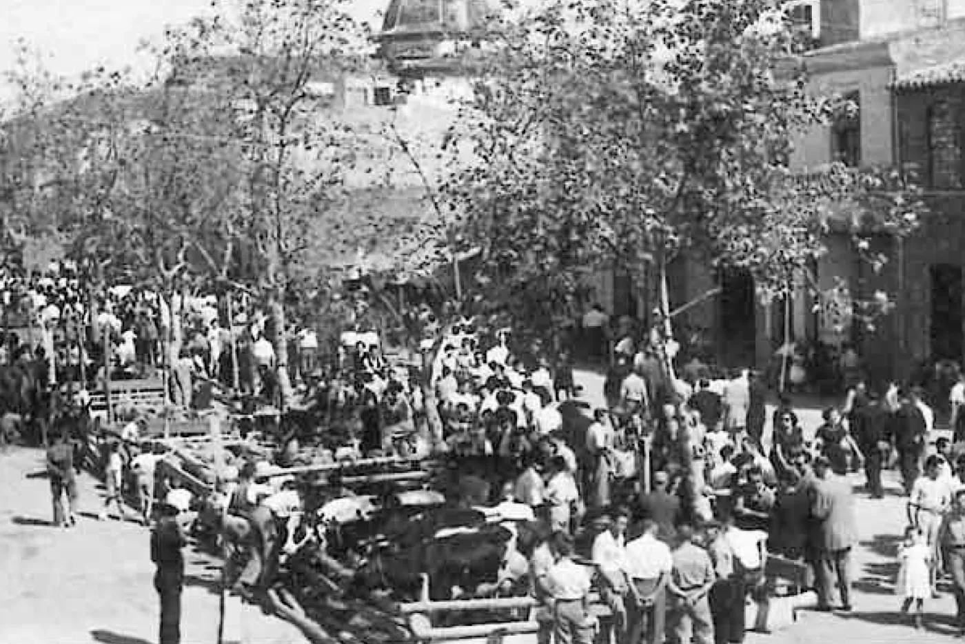 Feria Agrícola de Nules · fotografía histórica 6