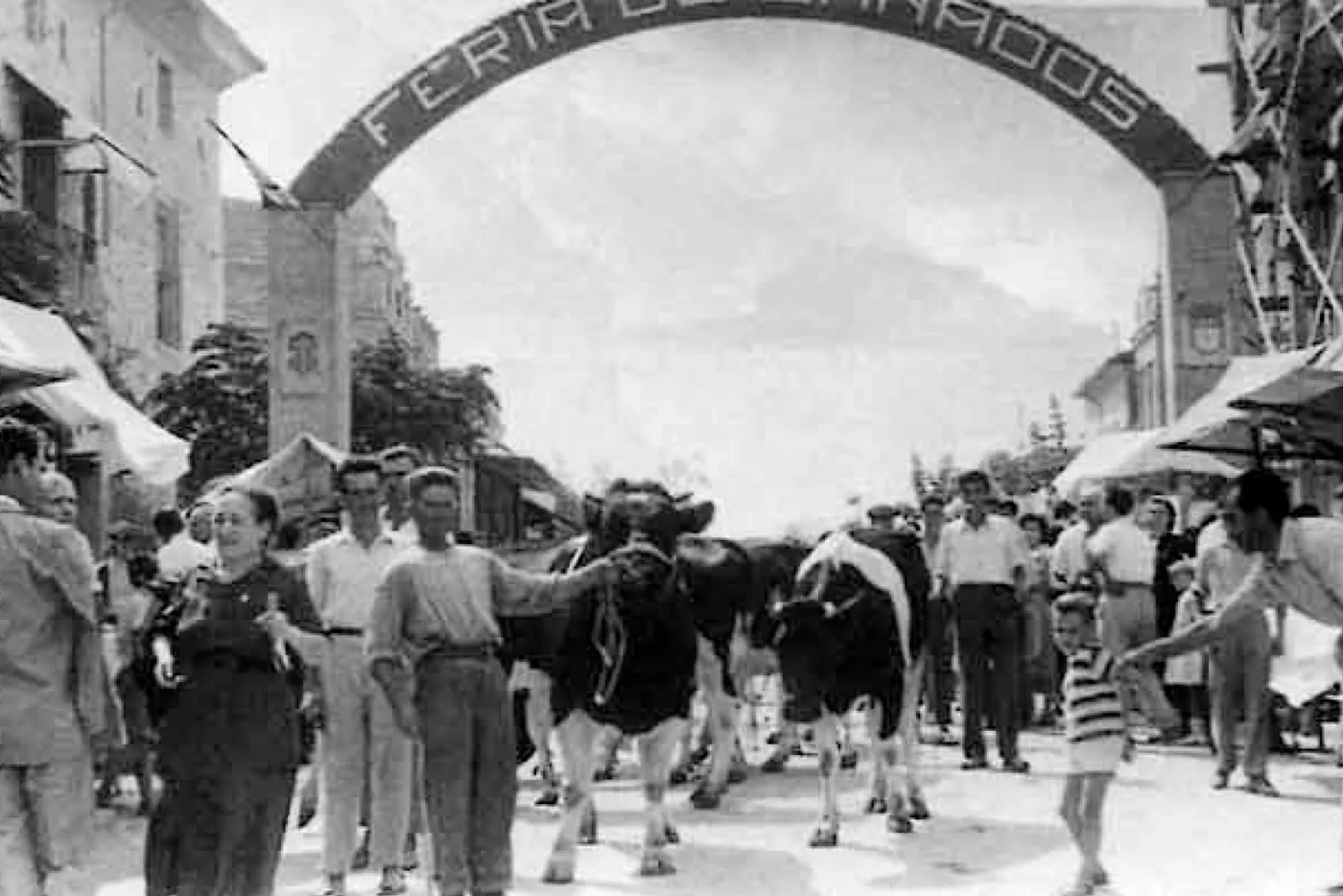 Feria Agrícola de Nules · fotografía histórica 9