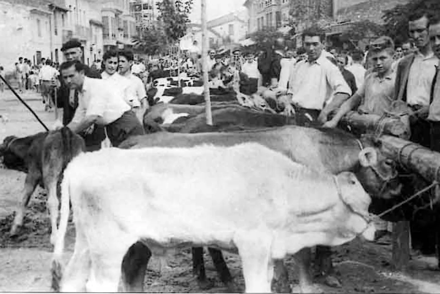 Feria Agrícola de Nules · fotografía histórica 11