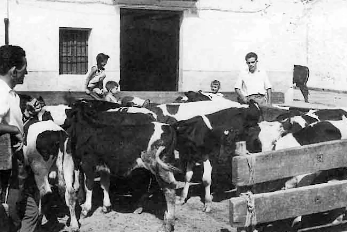 Feria Agrícola de Nules · fotografía histórica 12