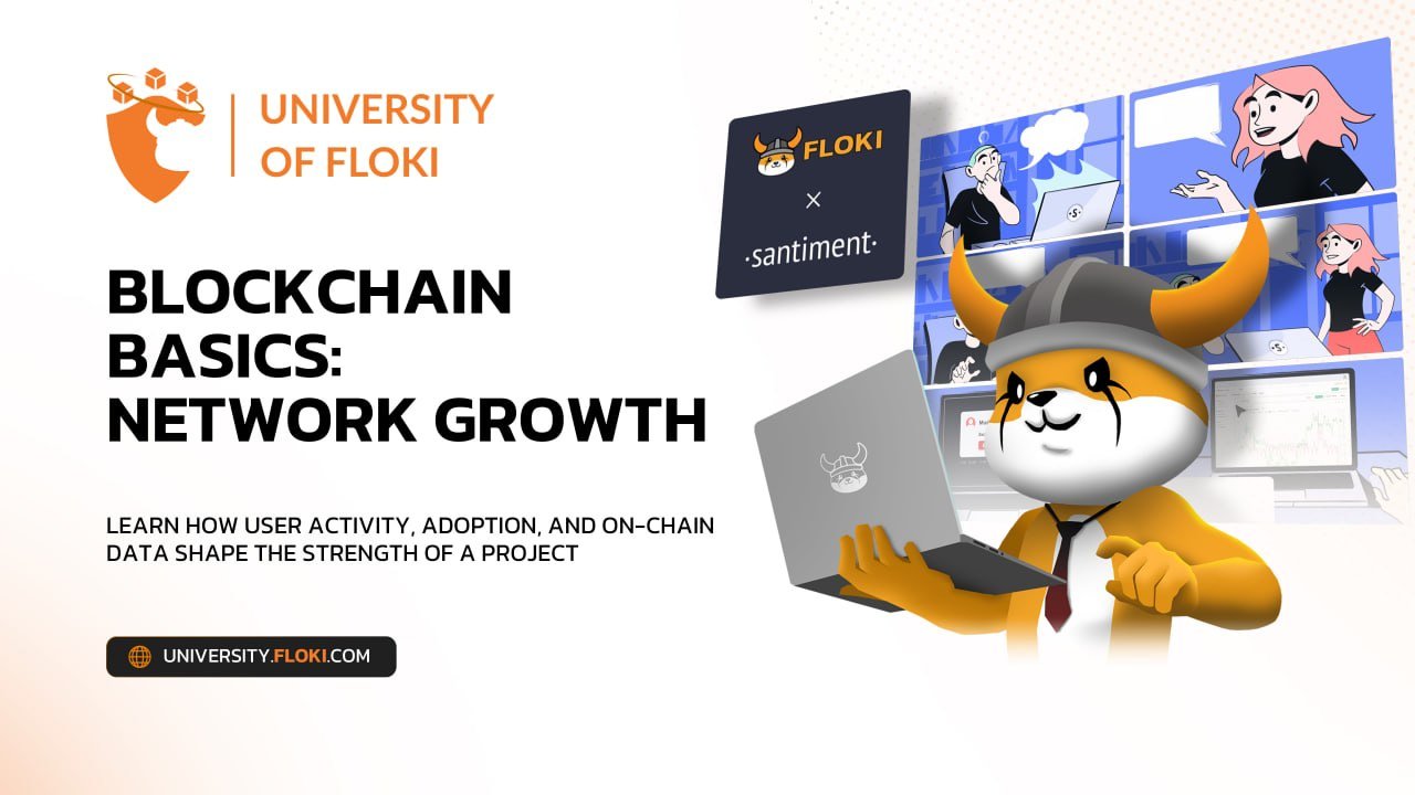 New course on University of Floki: Network growth