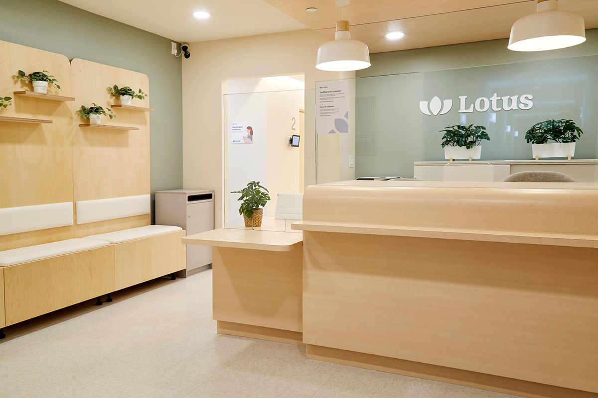 Reception area with light wood front desk and adjoining small desk topped with a potted plant, seating bench with backrest cushions and small potted plants on wall shelves, beige walls with green accent, overhead white pendant lights, a trash bin near a doorway, and the Lotus logo displayed on a glass wall behind the desk.