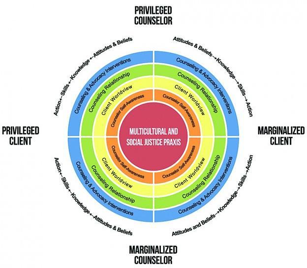 Multicultural and social justice praxis