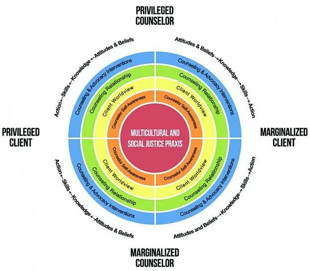 Multicultural and social justice praxis