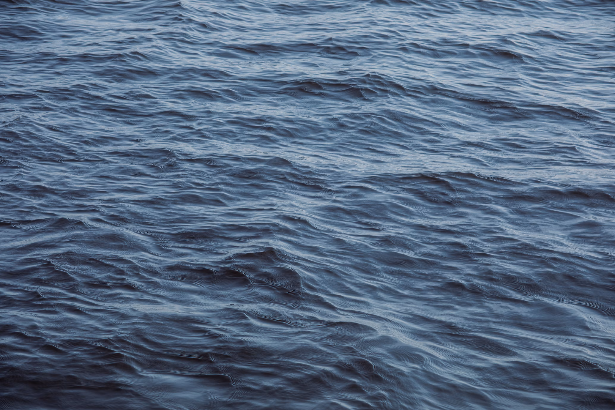 Acqua - foto di Dawn McDonald
