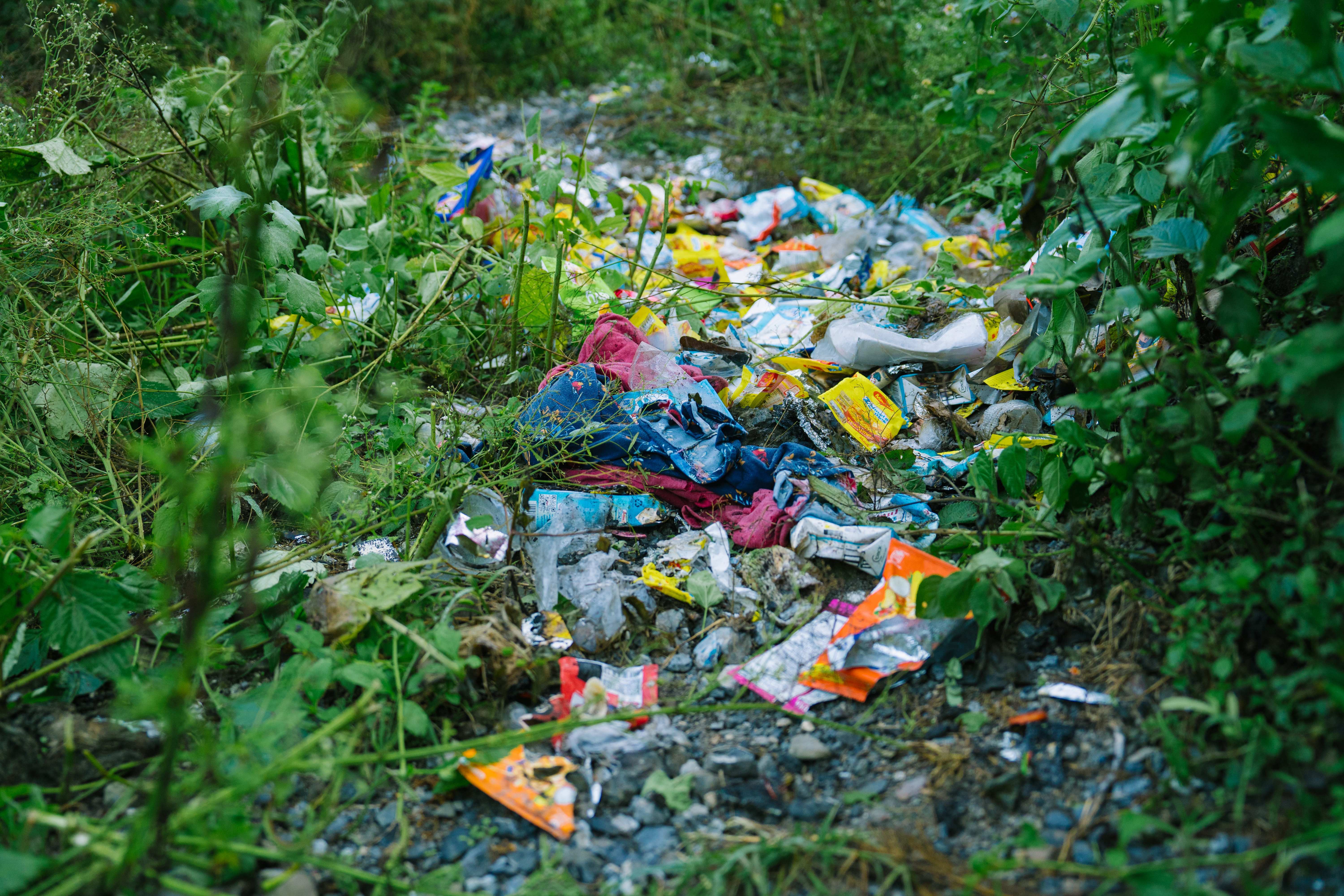 a pile of garbage in the woods