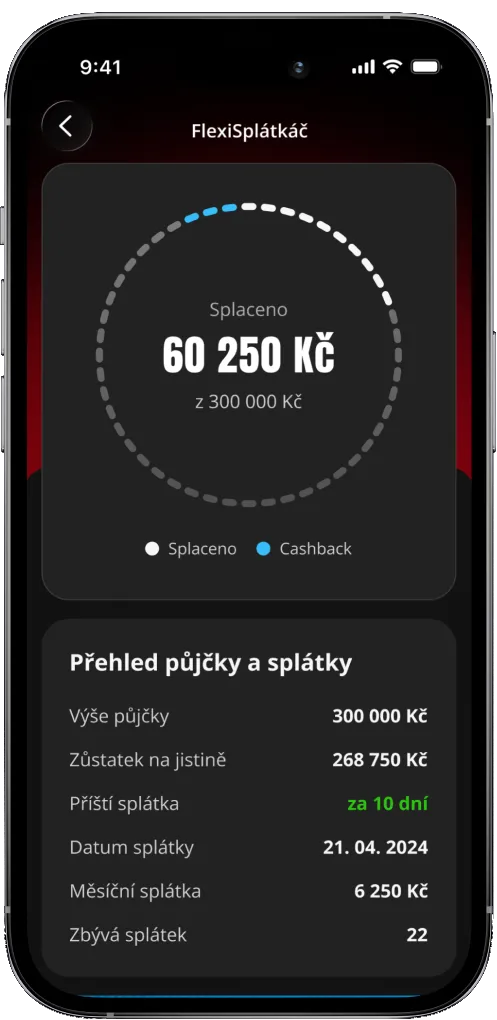 FlexiFin app: repayment progress and instalment detail
