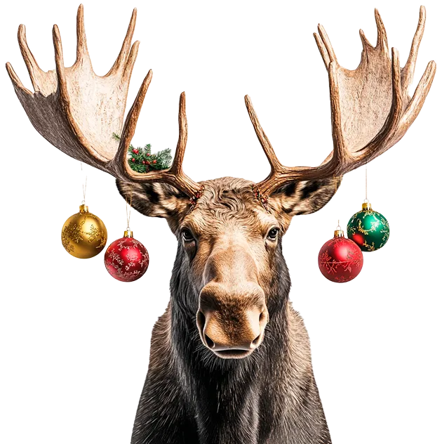 FlexiFin Christmas campaign visual with a moose wearing baubles on its antlers