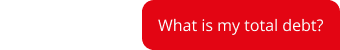What is my total debt?