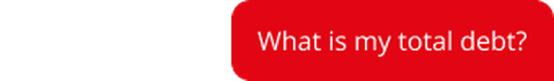 What is my total debt?