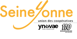 Logo SeineYonne