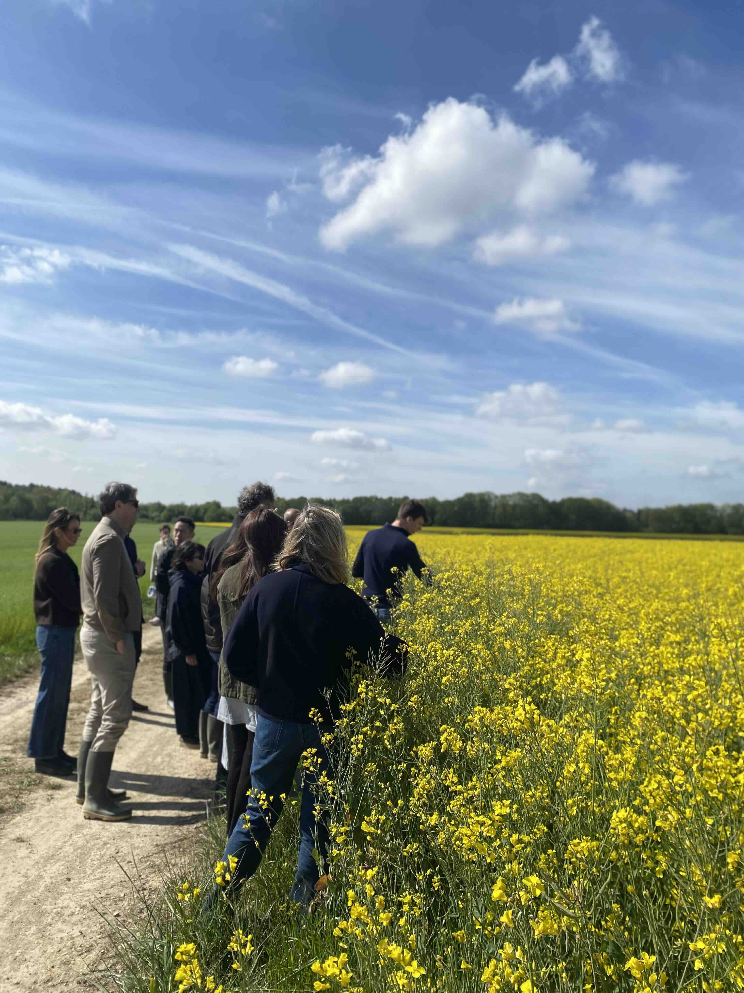 agriculteur dans champs