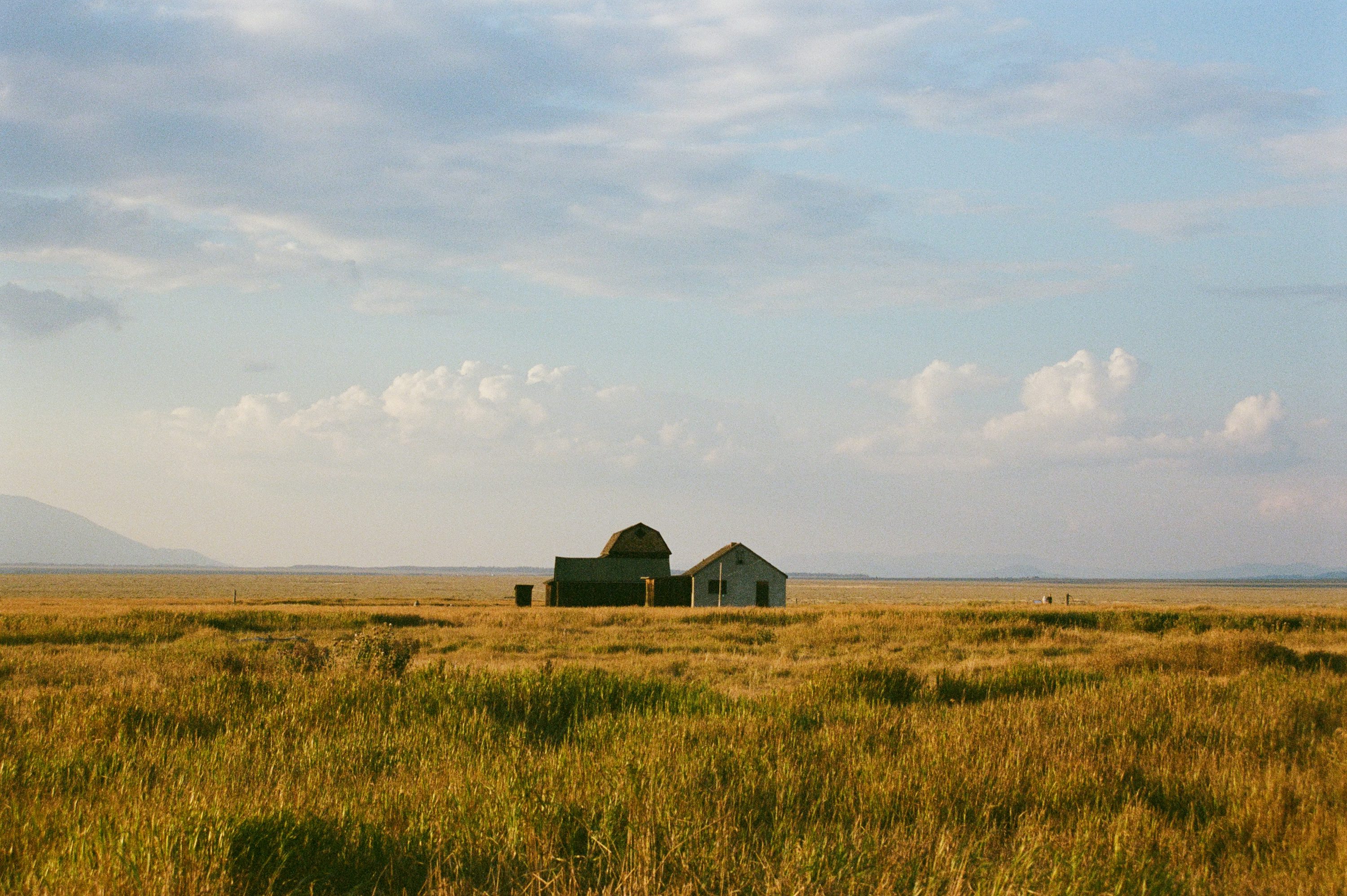 Abandoned farm buildings in a vast, grassy field.