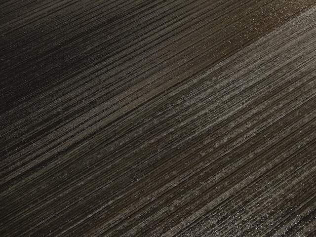 The Future of Farming is Here: Rakuten Symphony's Data-Driven Approach