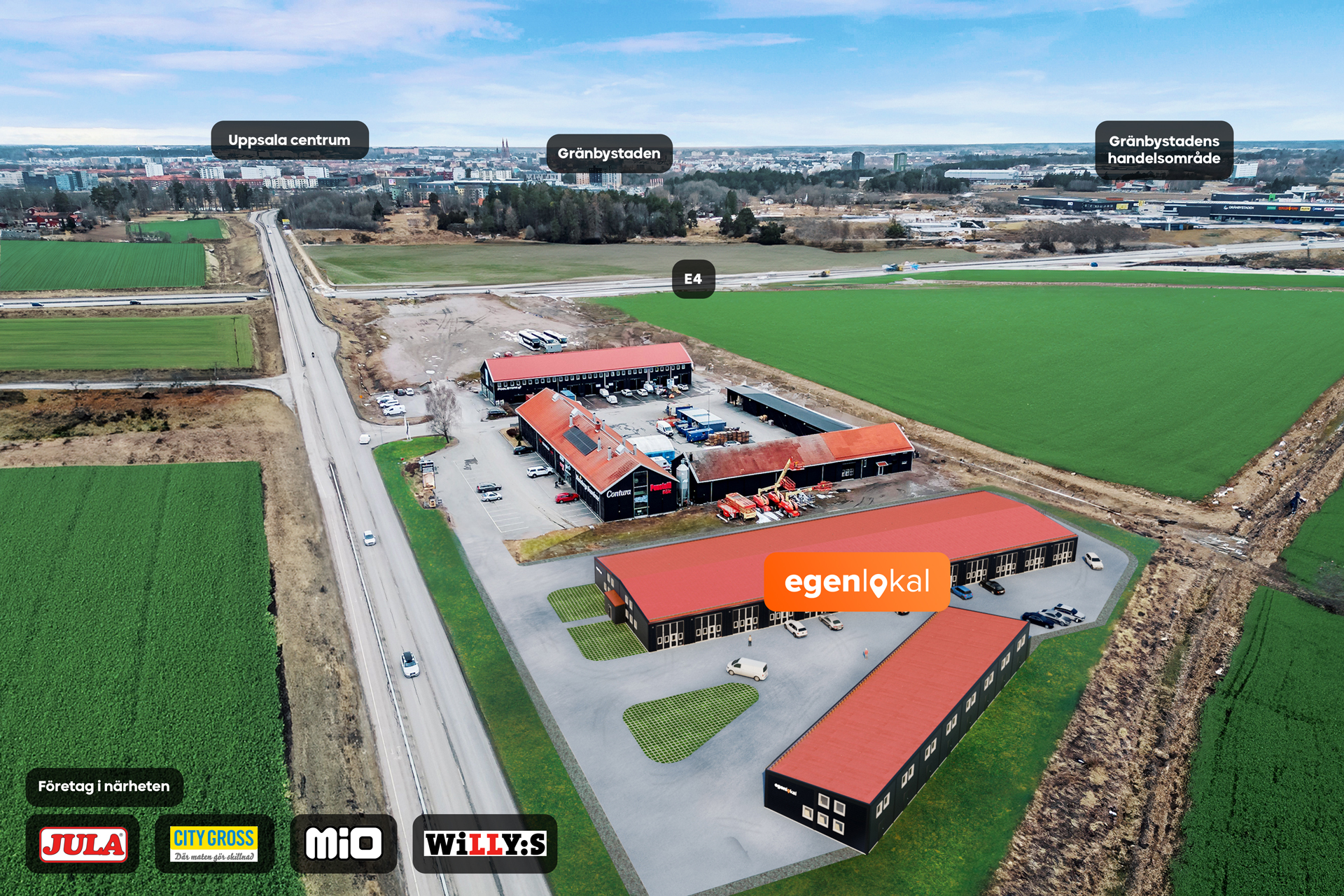 Ahtapot bilan jinsiy aloqa