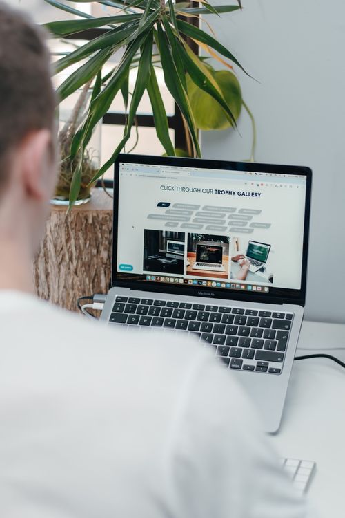 person looking at a website