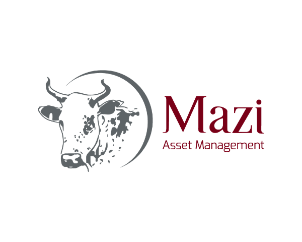 Mazi Assetmanagement