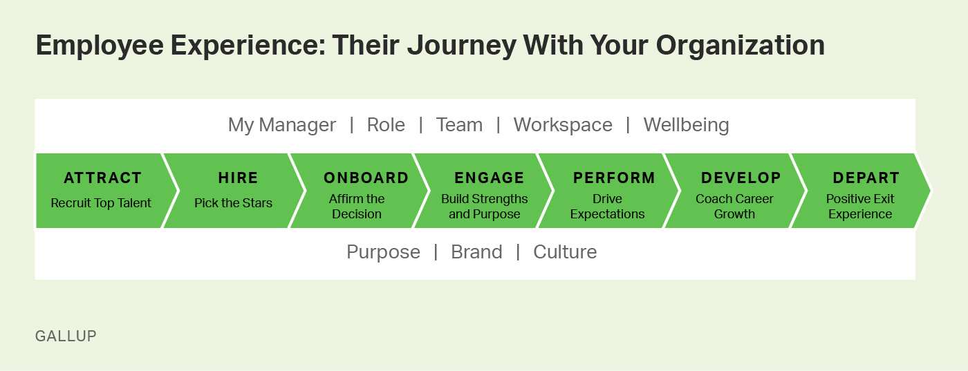 Gallup's employee experience journey