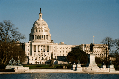 Post-Election Market Update: What it means for your money