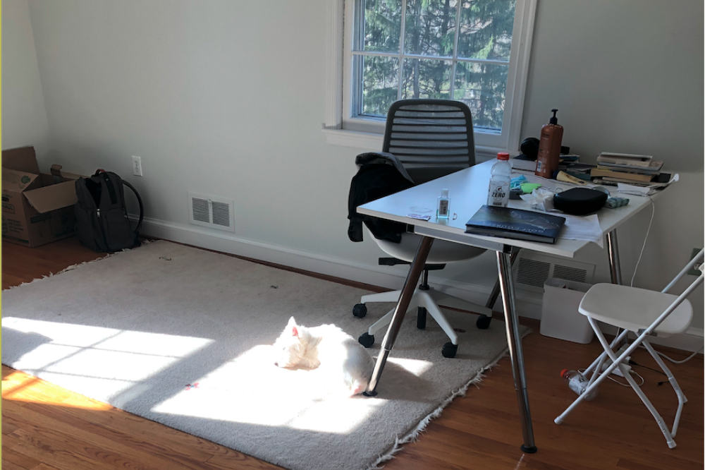 Happy 4th Birthday, Range! 