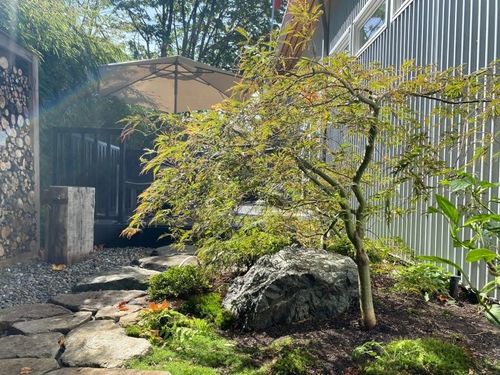 A beautiful scene of landscape design by SAKAI Landscape and Design. The umbrella maple tree and placed stones are exquisitely arranged to create a sense of tranquility.