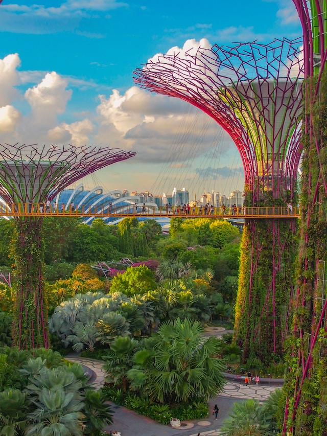 GPFO Family Office Network Singapore Community