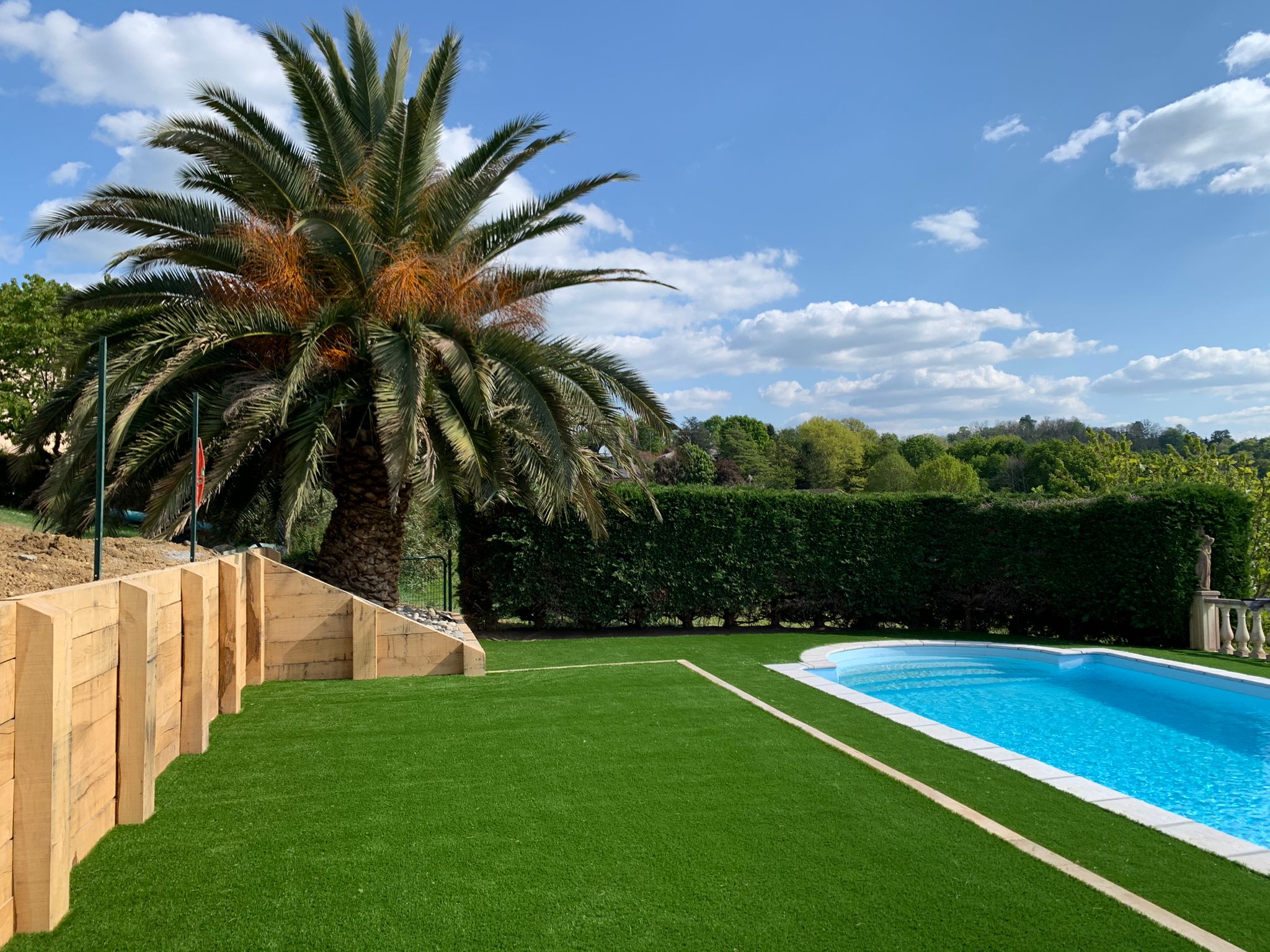 Plage de piscine livrée avec gazon et palmier des Canaries