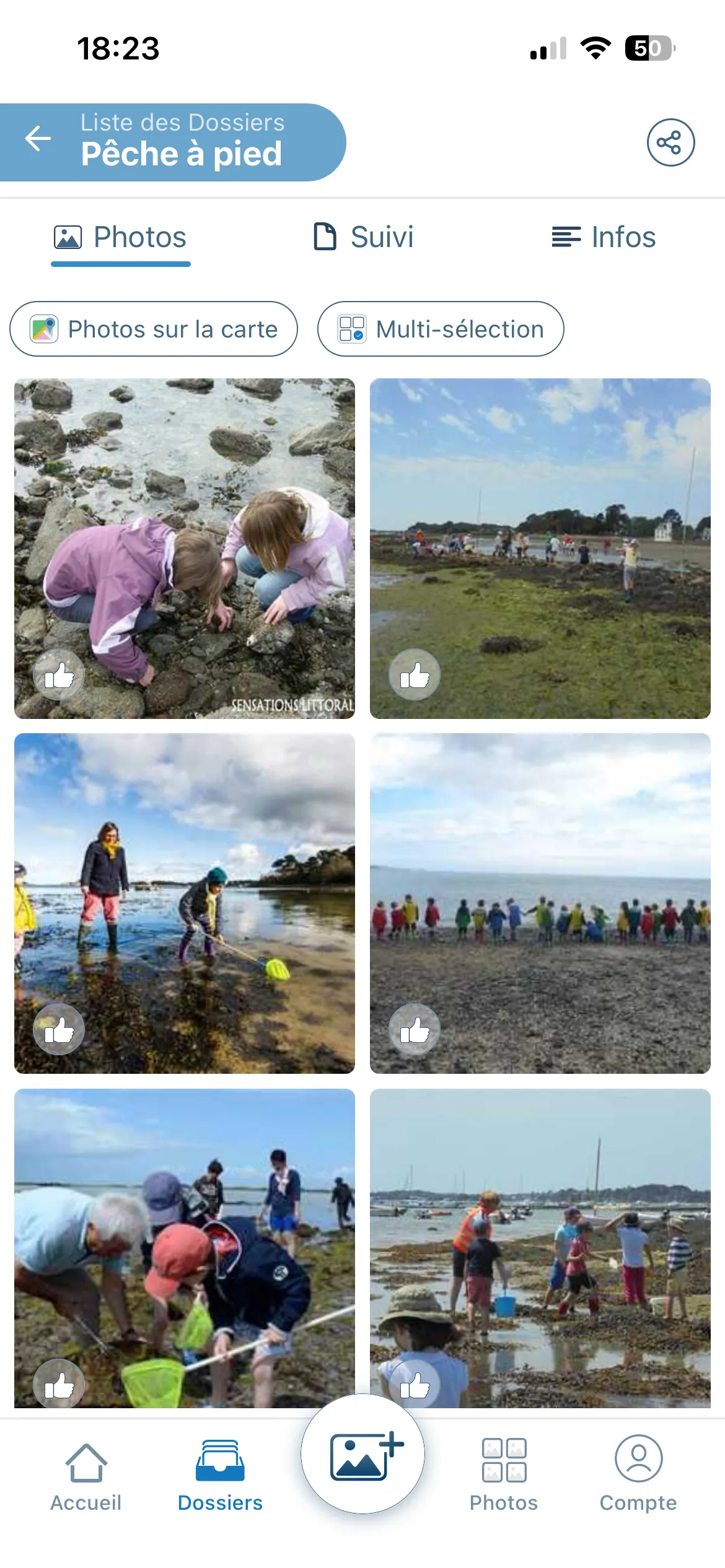 Galerie photos d'un dossier Pêche à pied sur Letmo, photos affichées en grille sur l'application mobile