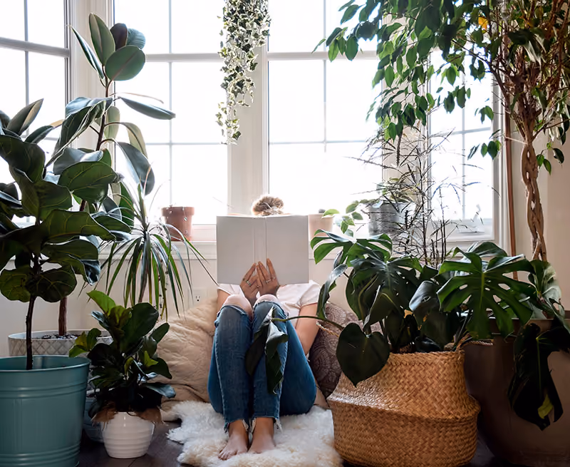 A woman reads a book in a room by a window surrounded by house plants