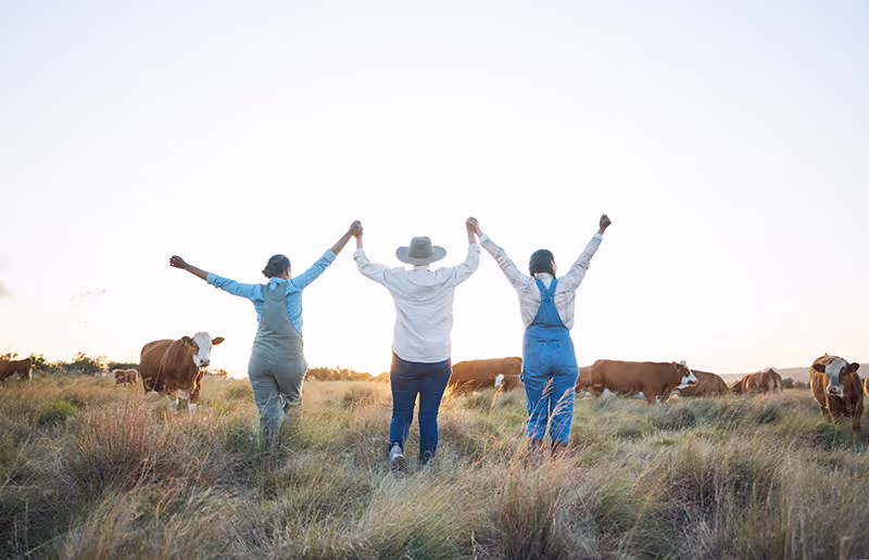 Three people with their arms in the air in a grassy field of cattle