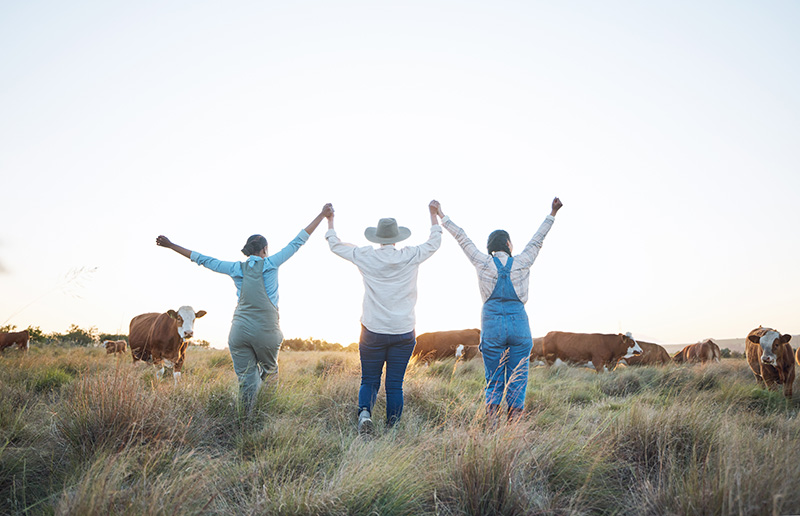 Three people with their arms in the air in a grassy field of cattle