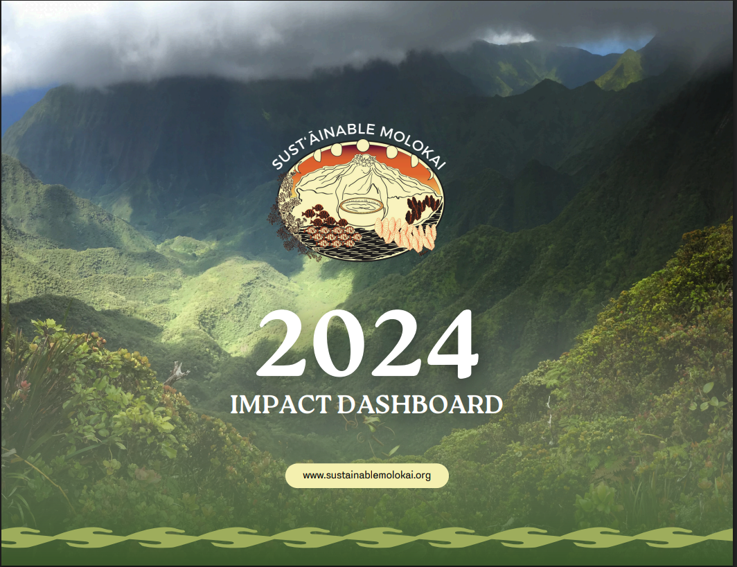 2024 Impact Dashboard Preview