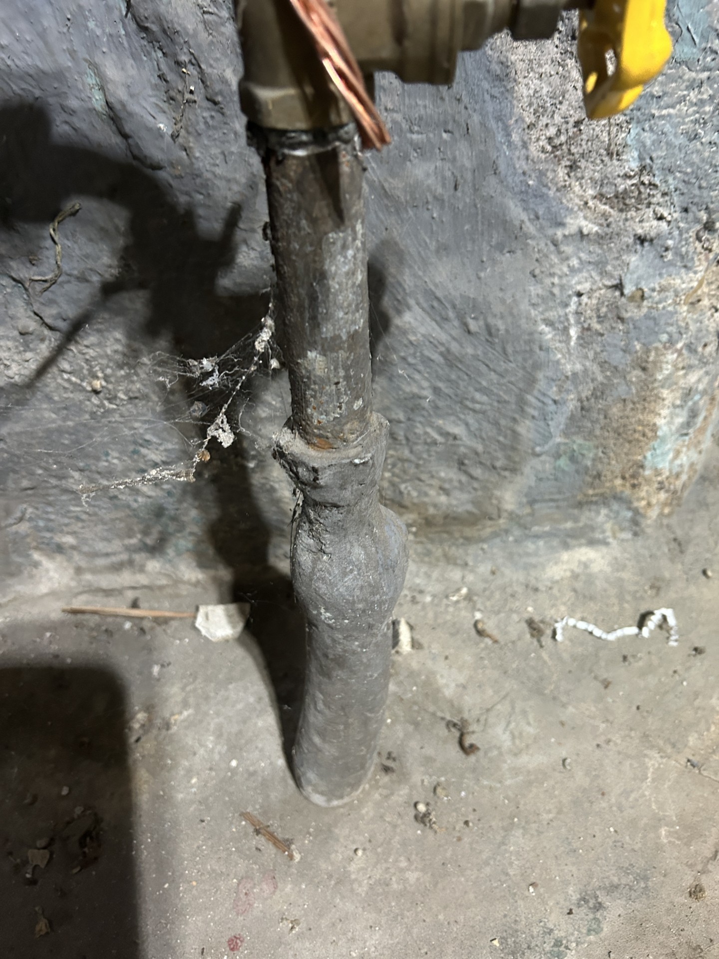 Jeannie Purchase, PhD headshot