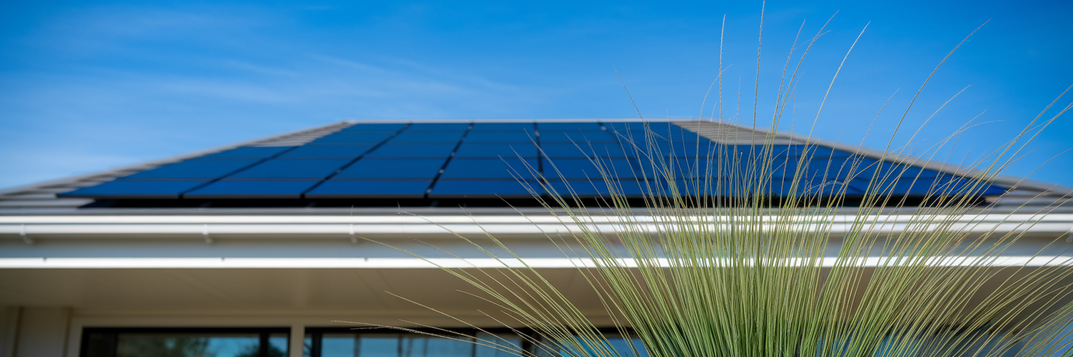 Find out how to easily incorporate green living practices into your daily life at home.