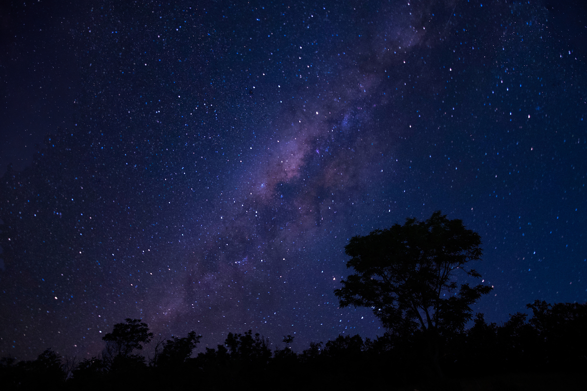 My theory about quantum and consciousness, between death and life