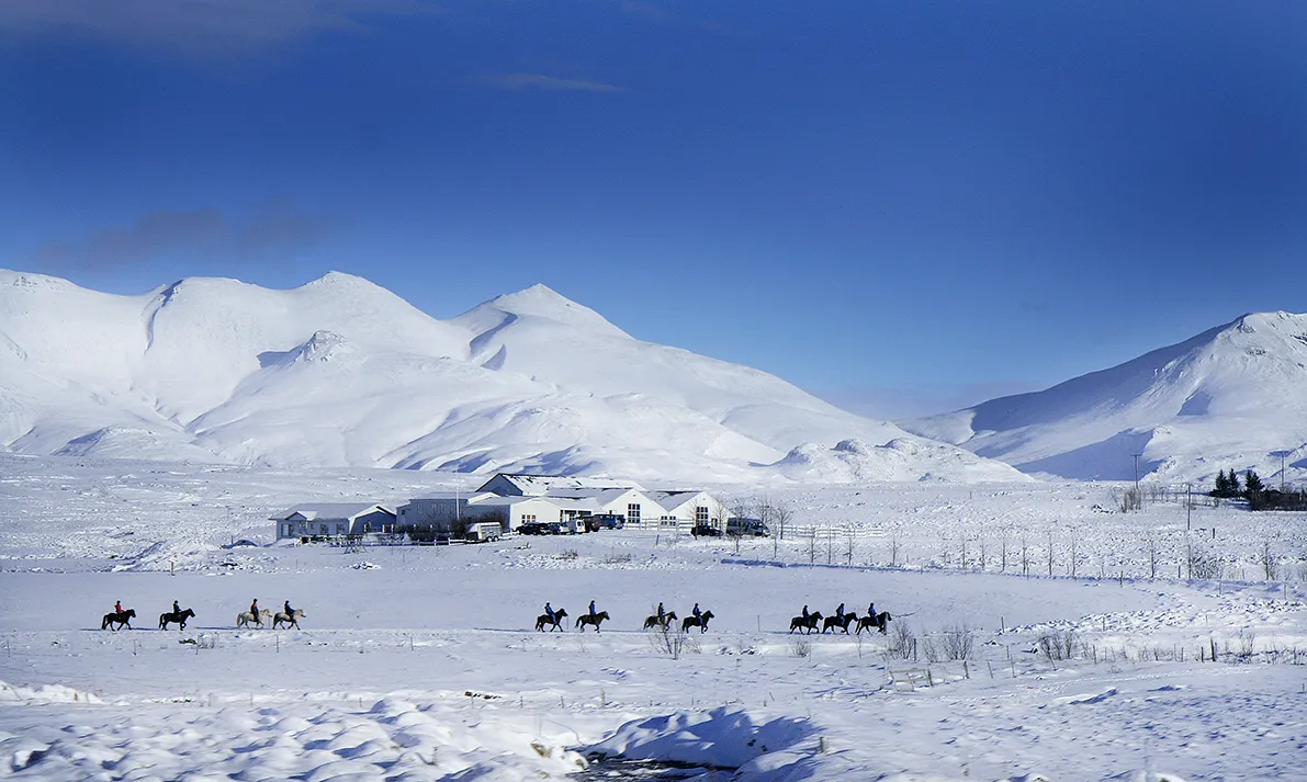 Golden Circle Horse Riding