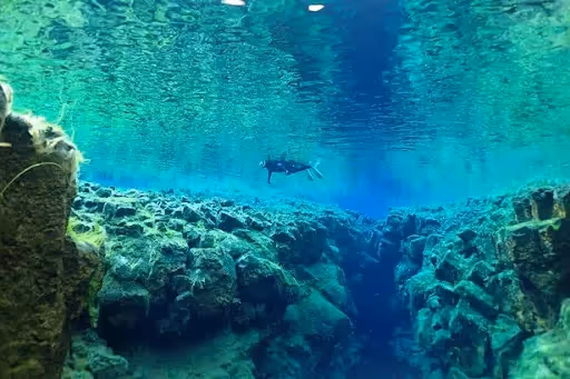 Snorkeling Silfra Tour with Pick up