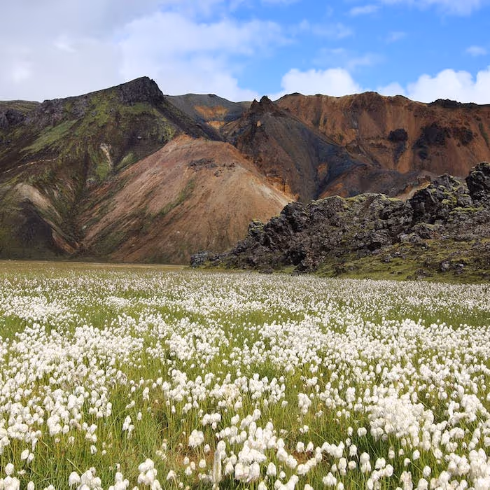 Landmannalaugar Pearl of the Highlands - Hiking & Bathing tour